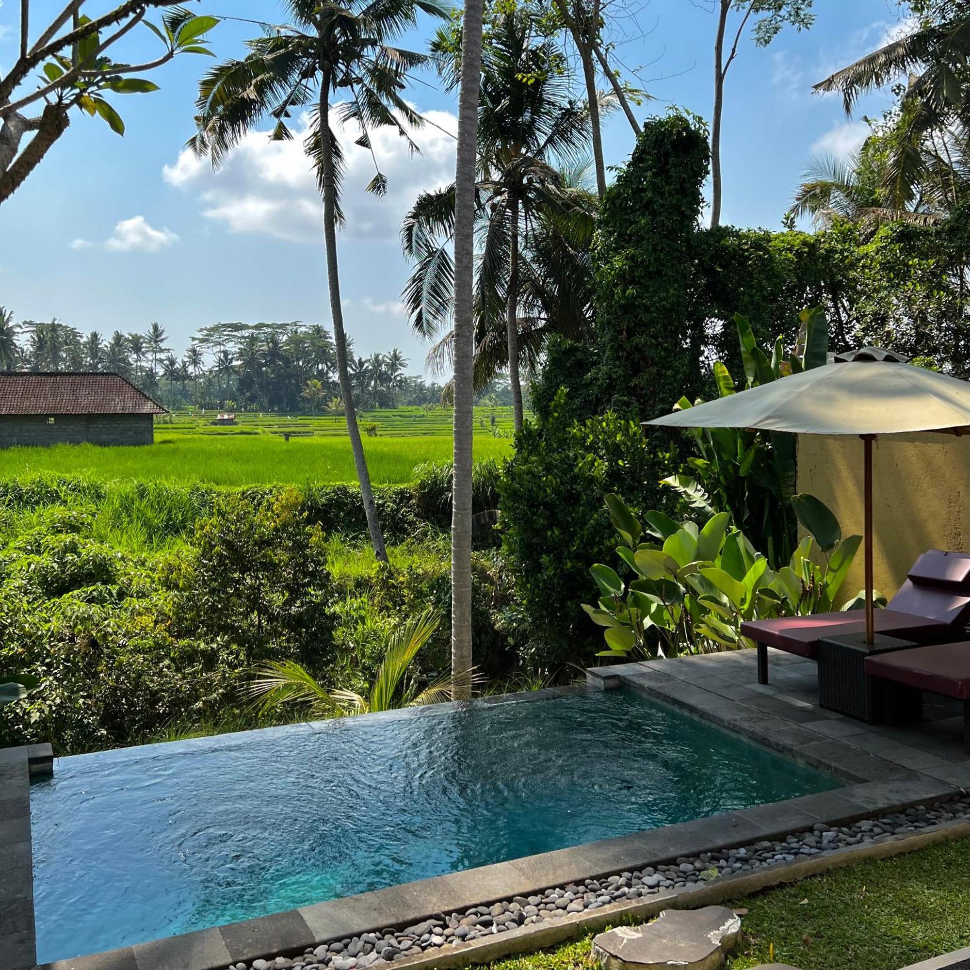 Kubu Bali Baik Villa & Resort - Chse Certified อูบุด ภายนอก รูปภาพ